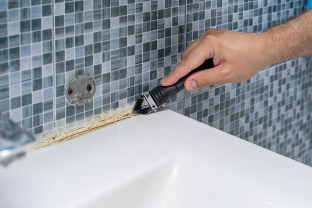 Best Black Mold Removal  in Fremont, MI